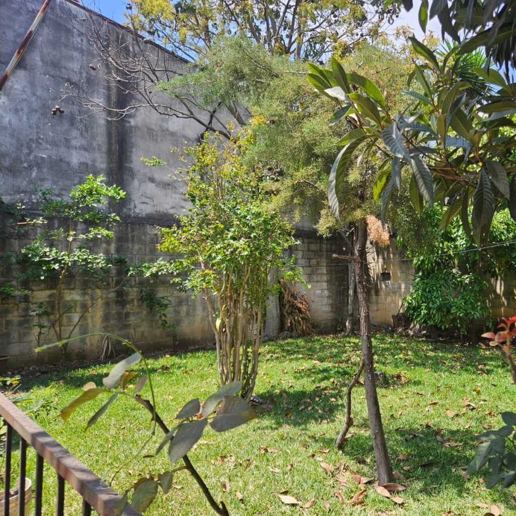 WhatsApp Image 2026-03-18 at 10.45.12 AM (3)